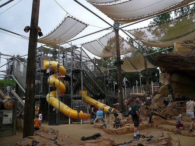 Bone Yard Animal Kingdom