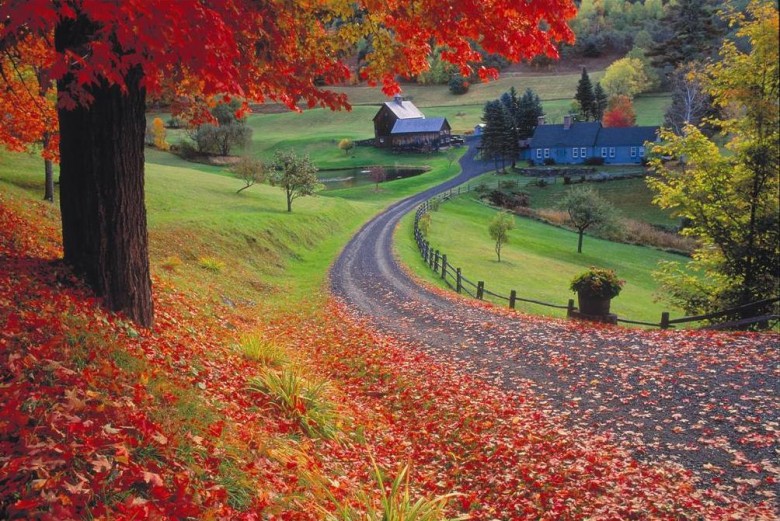 Fall-foliage-Vermont-