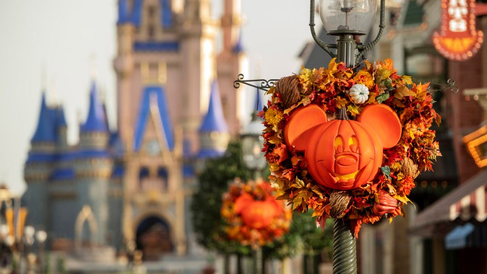 Magic Kingdom Fall Decor