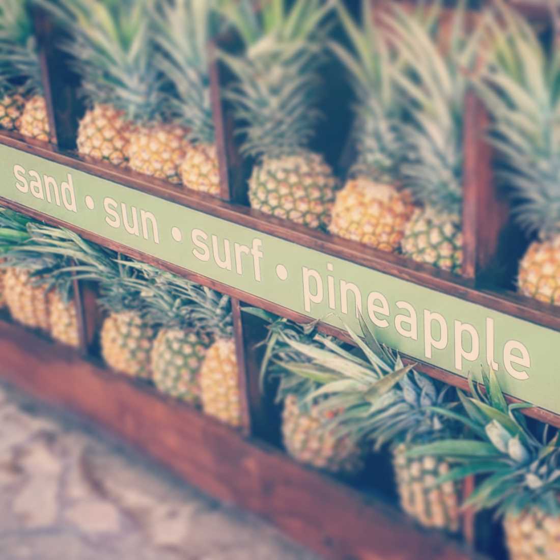 Hawaii’s Entry Requirements For International Visitors Announced The Go To Family