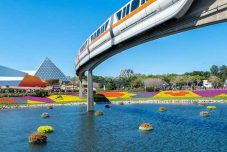 Is Walt Disney World Reopening The EPCOT Monorail?