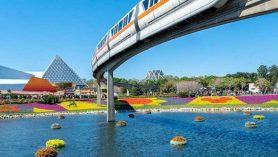 Is Walt Disney World Reopening The EPCOT Monorail?