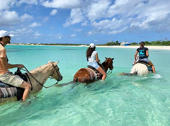 HOrseback Riding in Anguilla