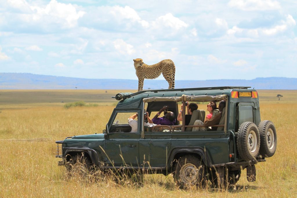 masai-mara-safari