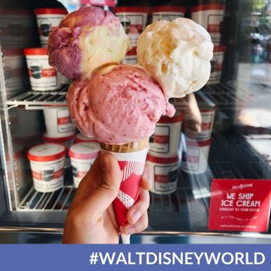 Salt & Straw Ice Cream is Coming to Disney Springs