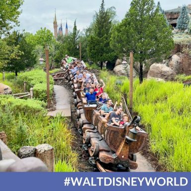 Walt Disney World No Longer Requiring Guests to Wear Masks on Rides & Attractions