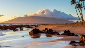 Maui Mayor Doesn’t Want Guests Traveling To Hawaii This Summer