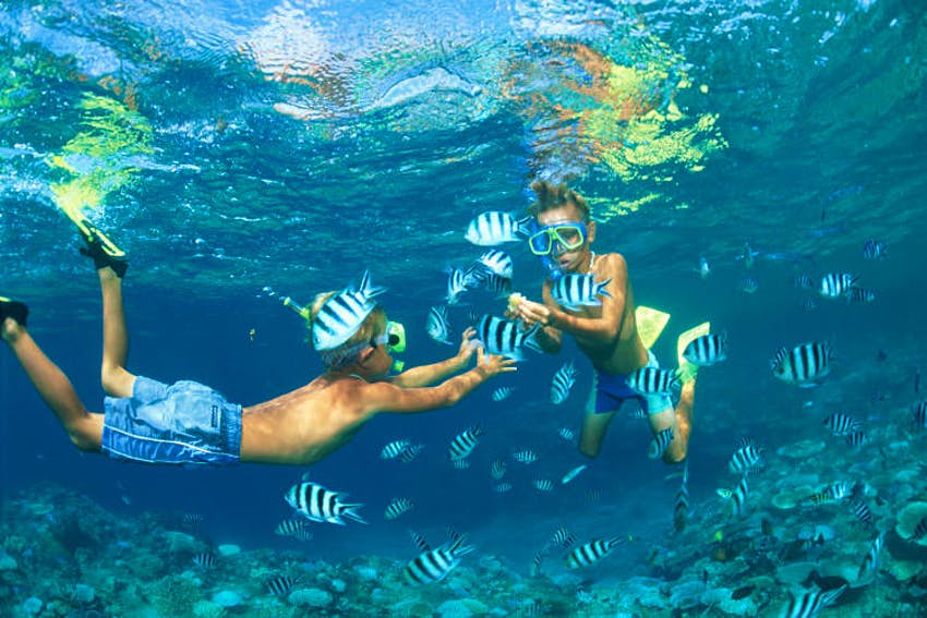 Fiji Snorkelling