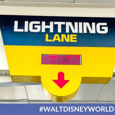 Lightning Lane Signage Is Up At Walt Disney World