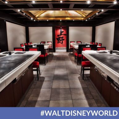 Full Teppan Edo Dining Experience at Disney's Epcot