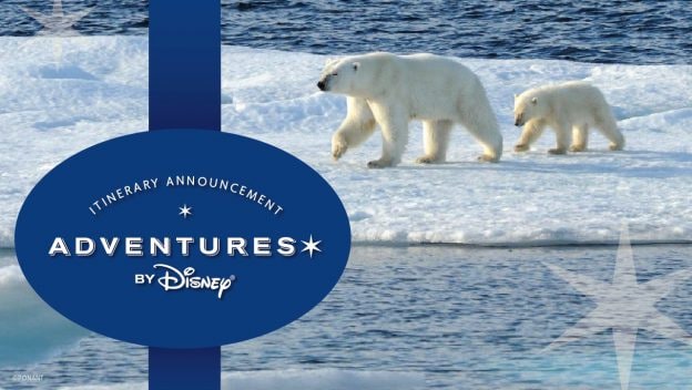 Adventures By Disney Now Wants To Take You To The Arctic