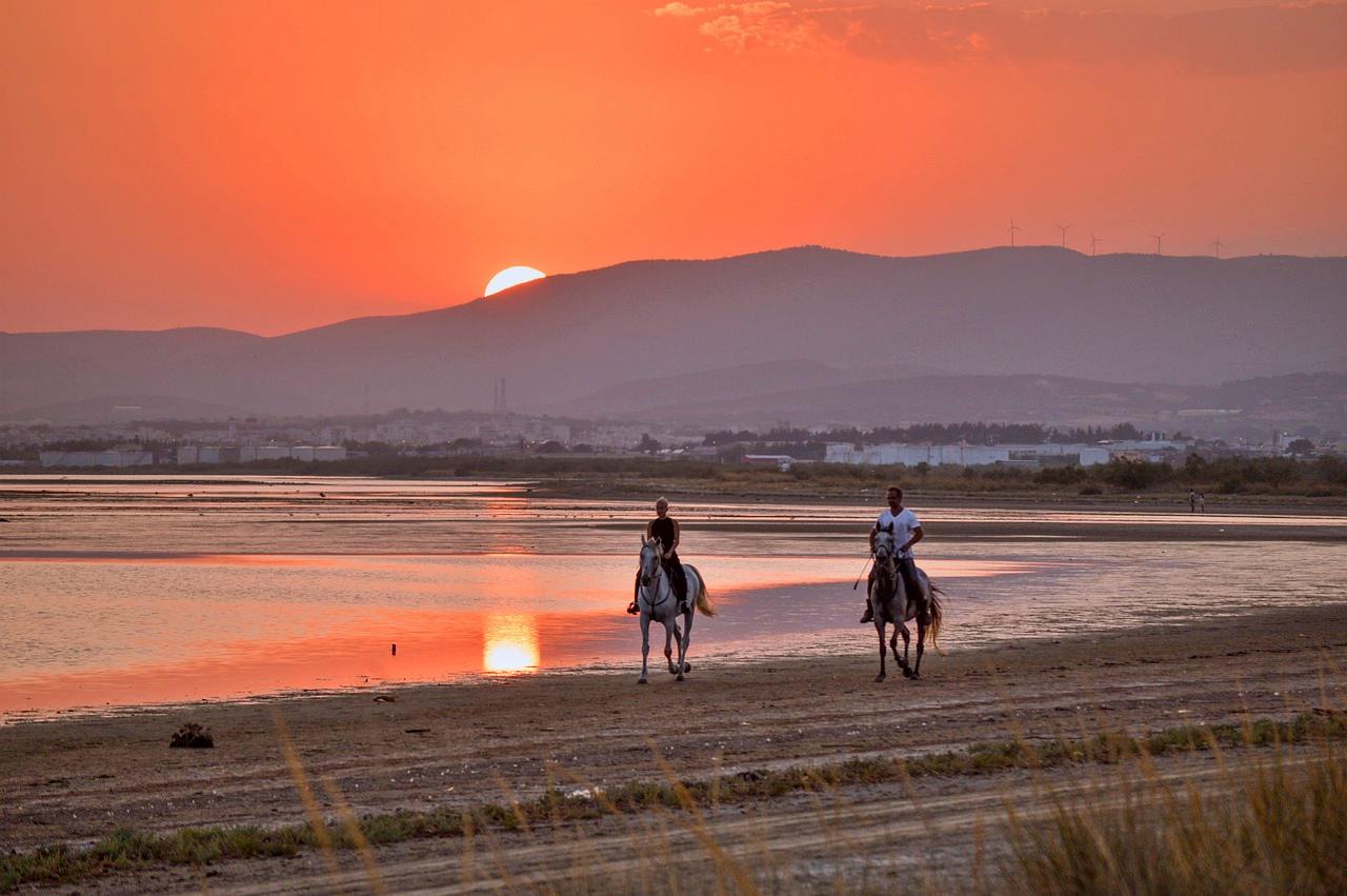 Horseback riding in Barbuda