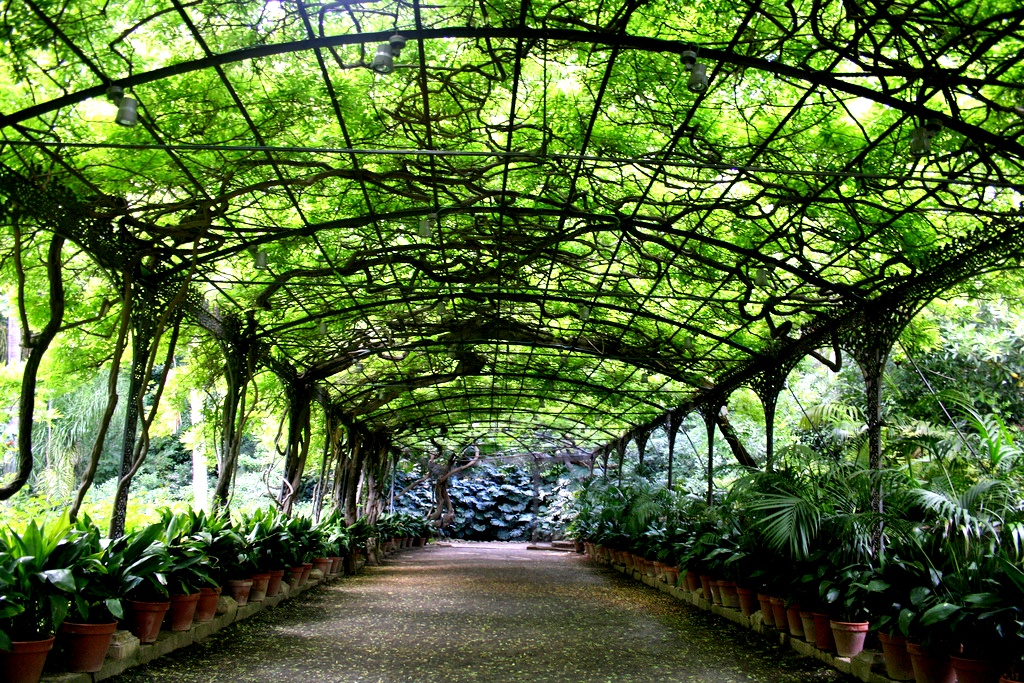 Jardín Botánico-Histórico La Concepción 