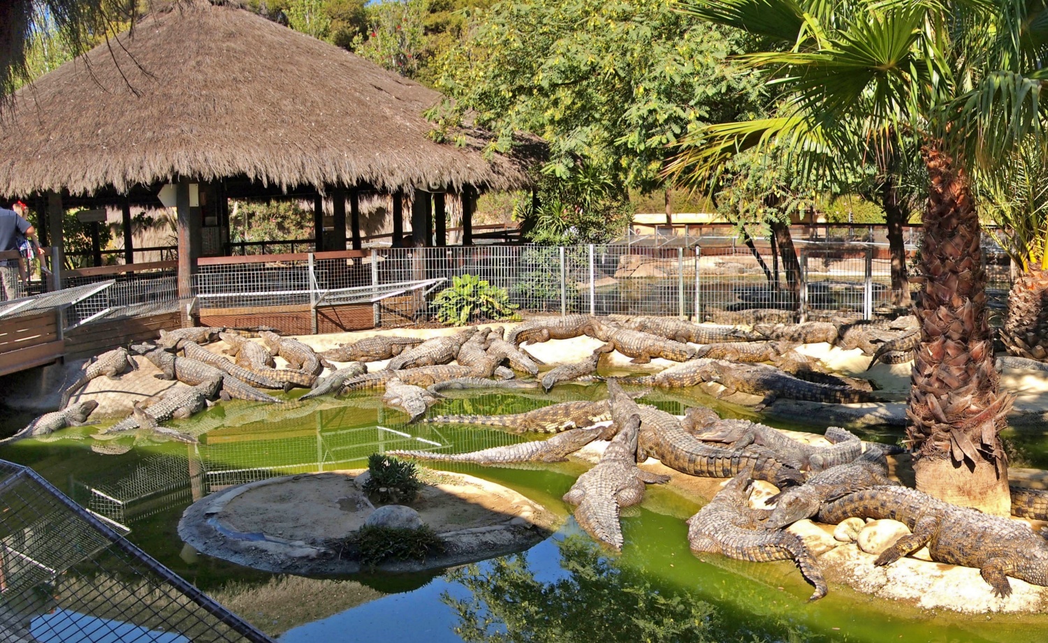 Crocodile Park, Torremolinos