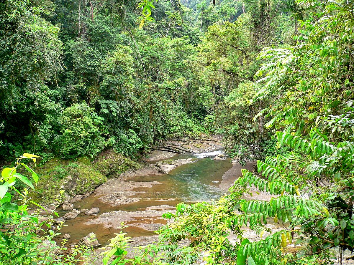 Rio Dantes in Barbillo National Park