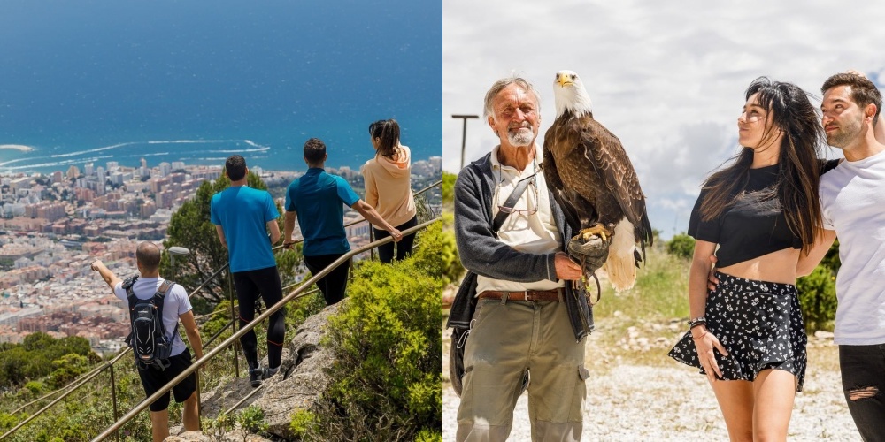 Teleférico Benalmádena and Birds of Prey Demonstration