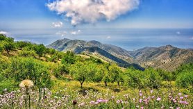 Become an ecotourist in Andalucía, Spain