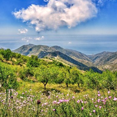 Become an ecotourist in Andalucía, Spain