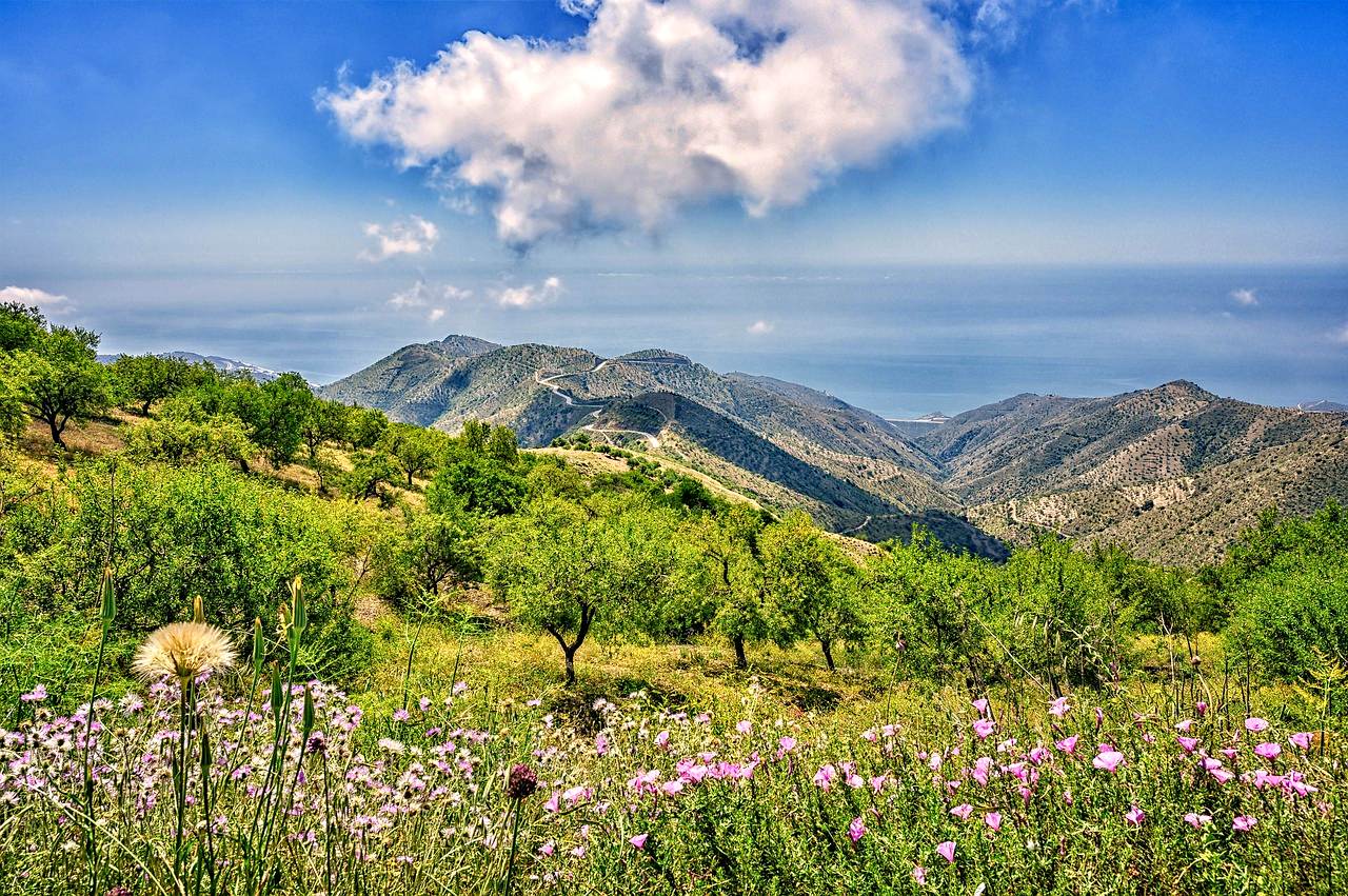 Become an ecotourist in Andalucía, Spain