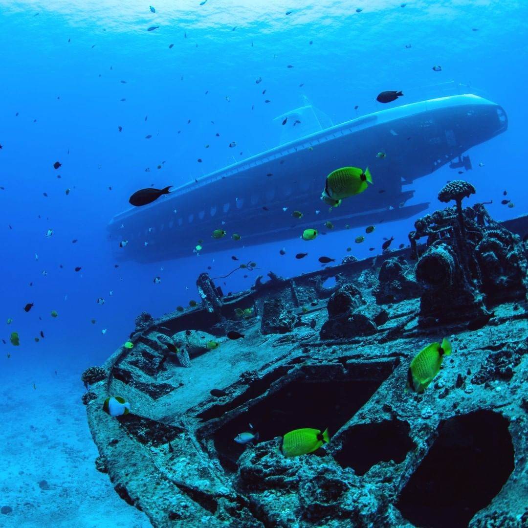 Atlantis Submarines Hawaii