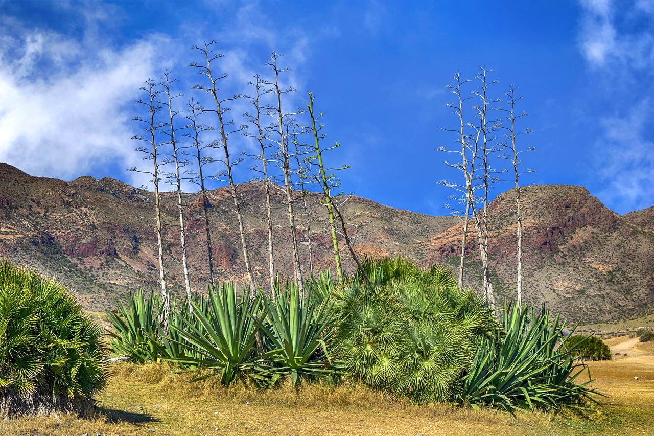 Island landscape