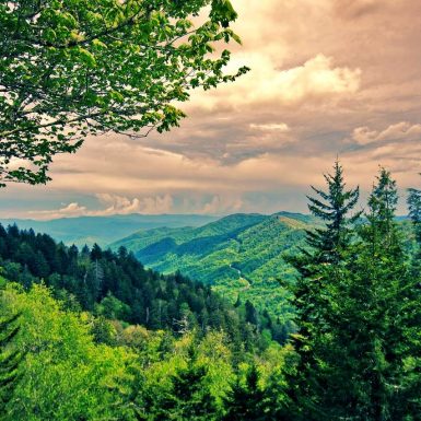 Great Smoky Mountains for a family vacation