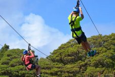 Ziplining in Hawaii - ecotourism experience