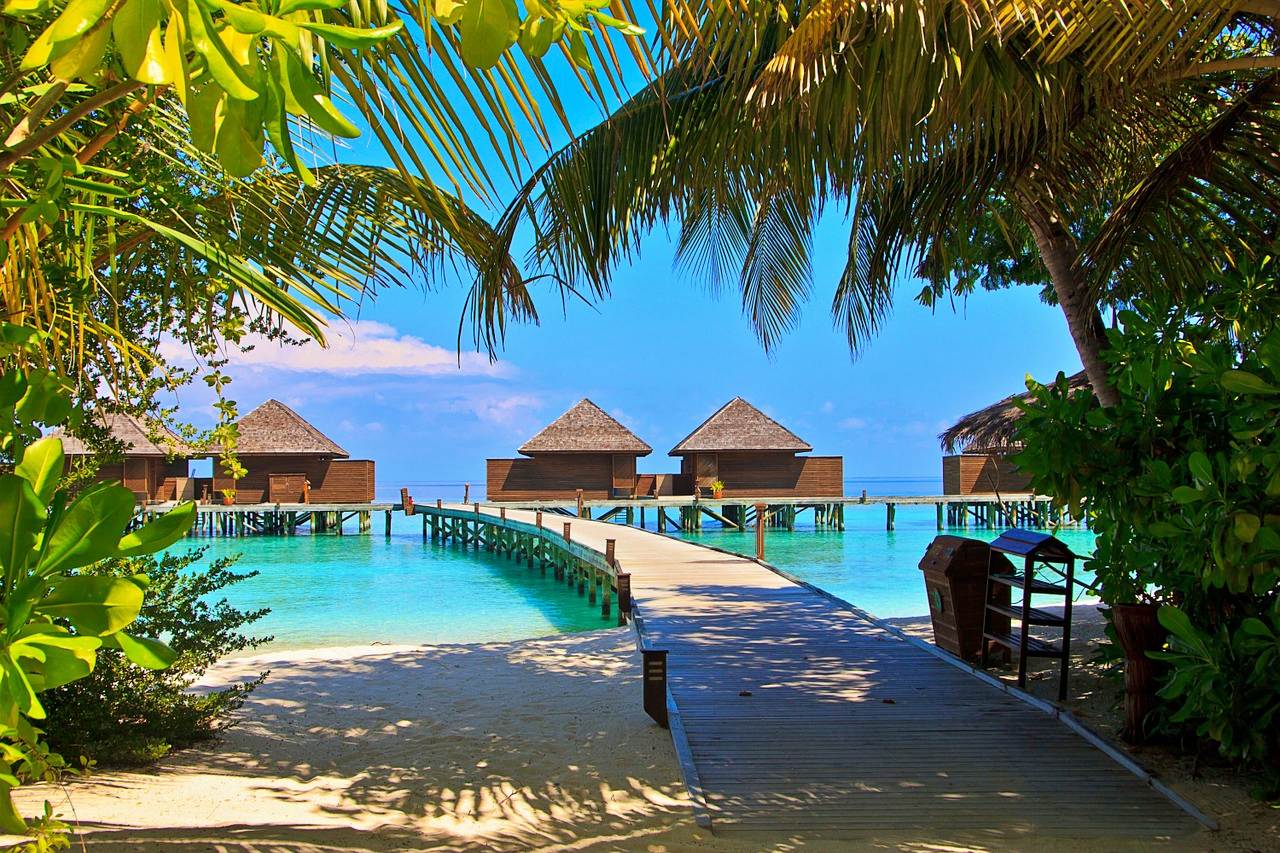 Honeymoon activities in the Maldives