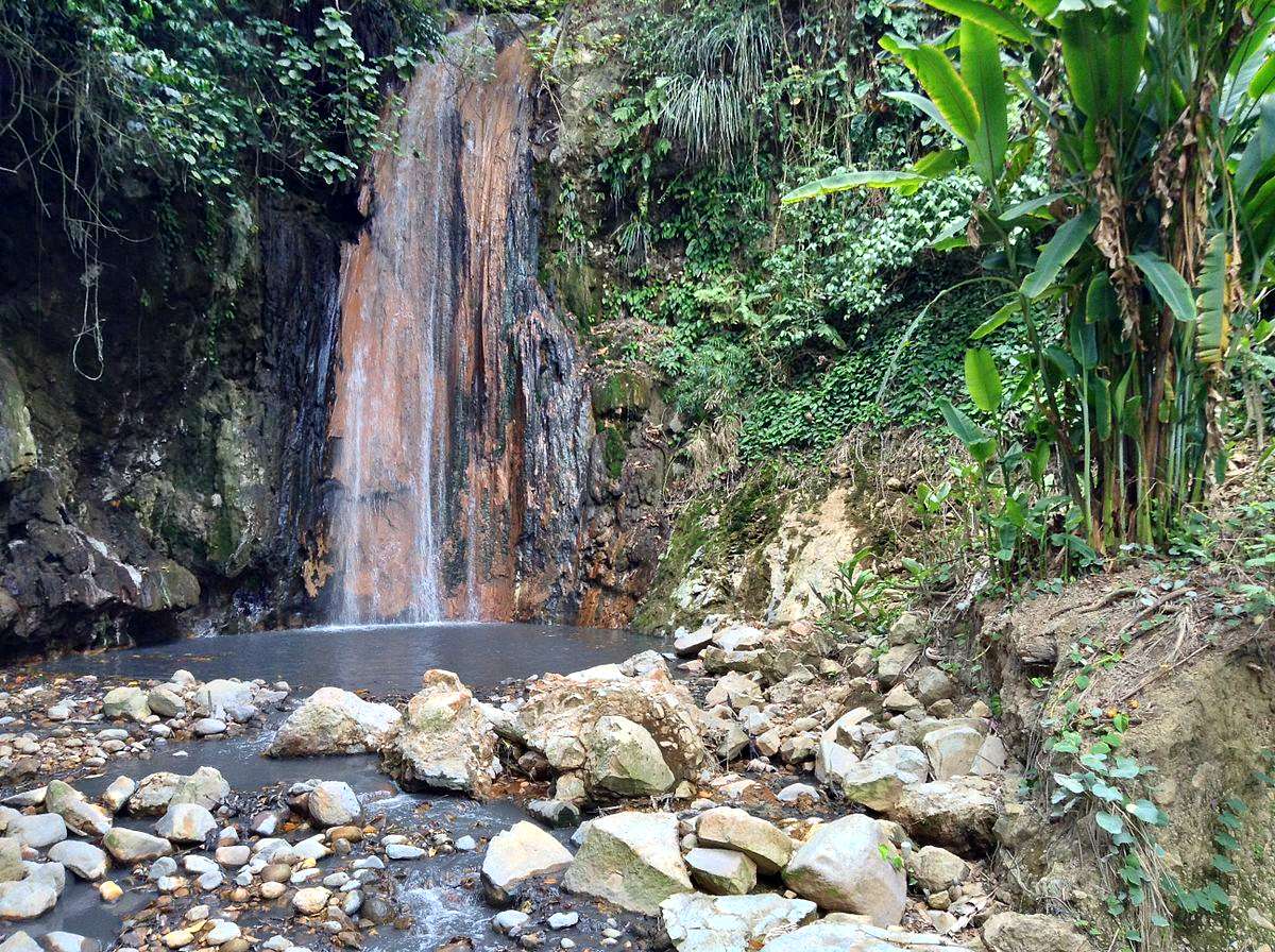 Rainforest, Saint Lucia
