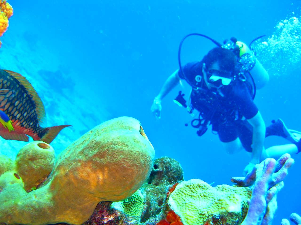 Scuba diving