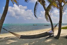 Attractions for solo travelers in the Cayman Islands