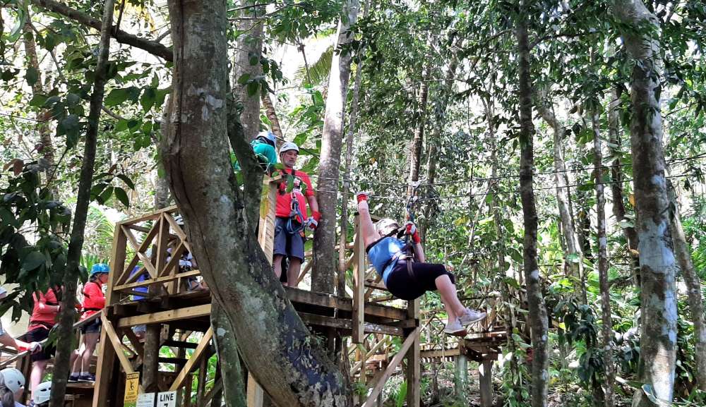 Treetop Adventure Park 