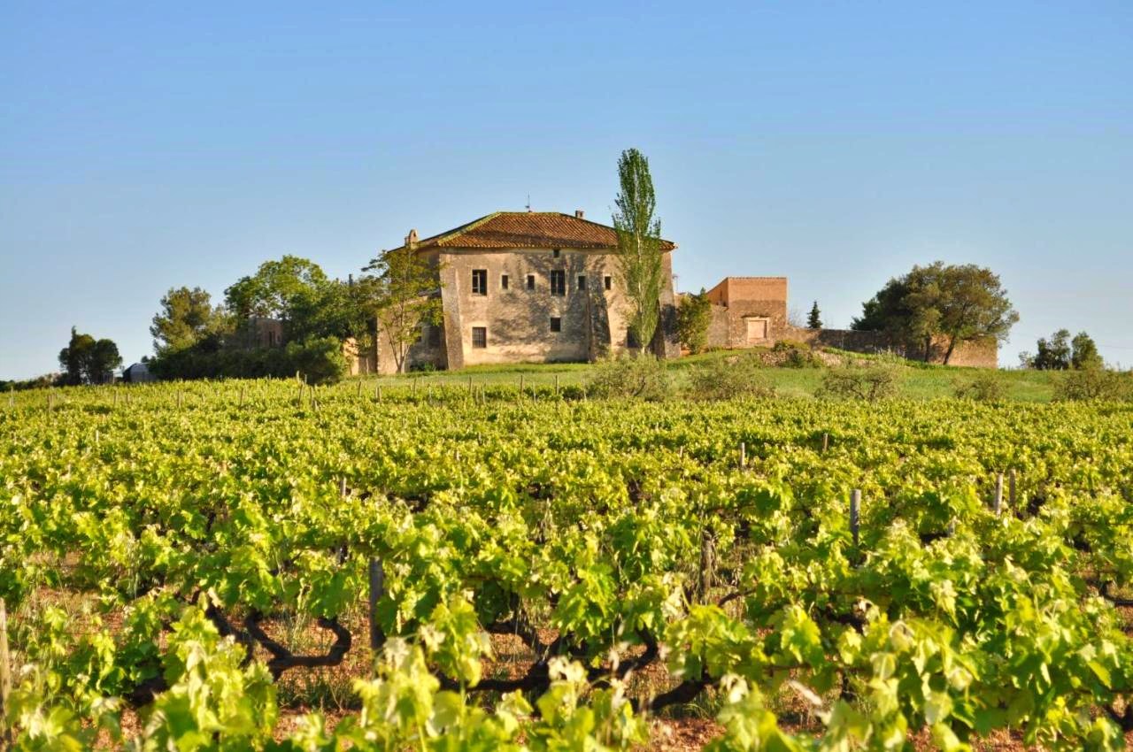 Mas Castell de Gimenelles, Alt Penedes