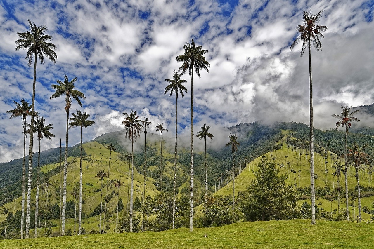 Ecotourism in Colombia