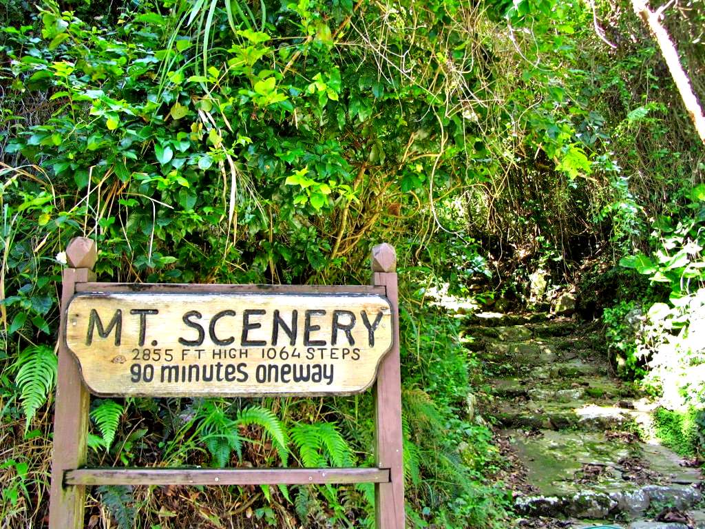 Mount Scenery HIking Trail, Saba