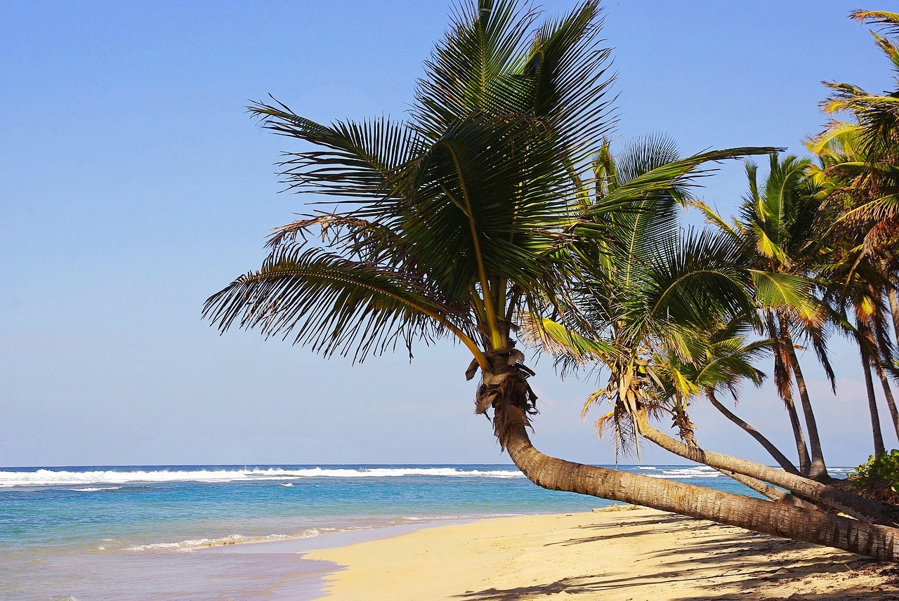 Punta Cana beach