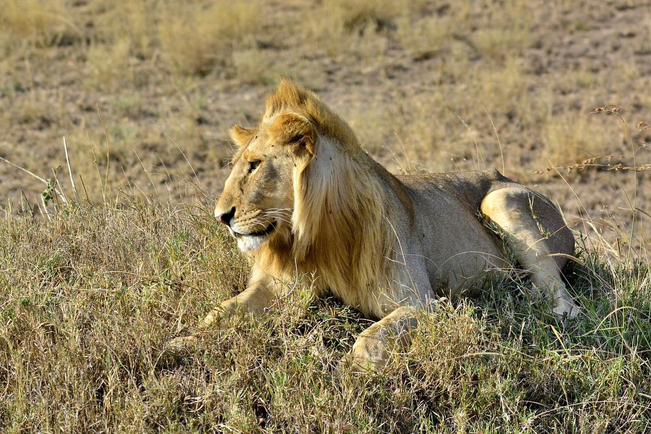 Tarangire National Park, Tanzania