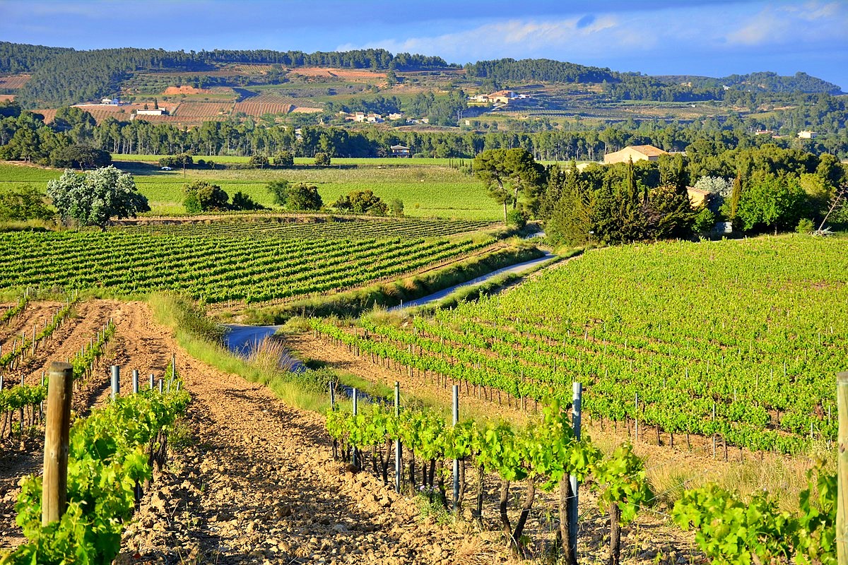 Torrelles de Foix, Alt Penedès, Spain