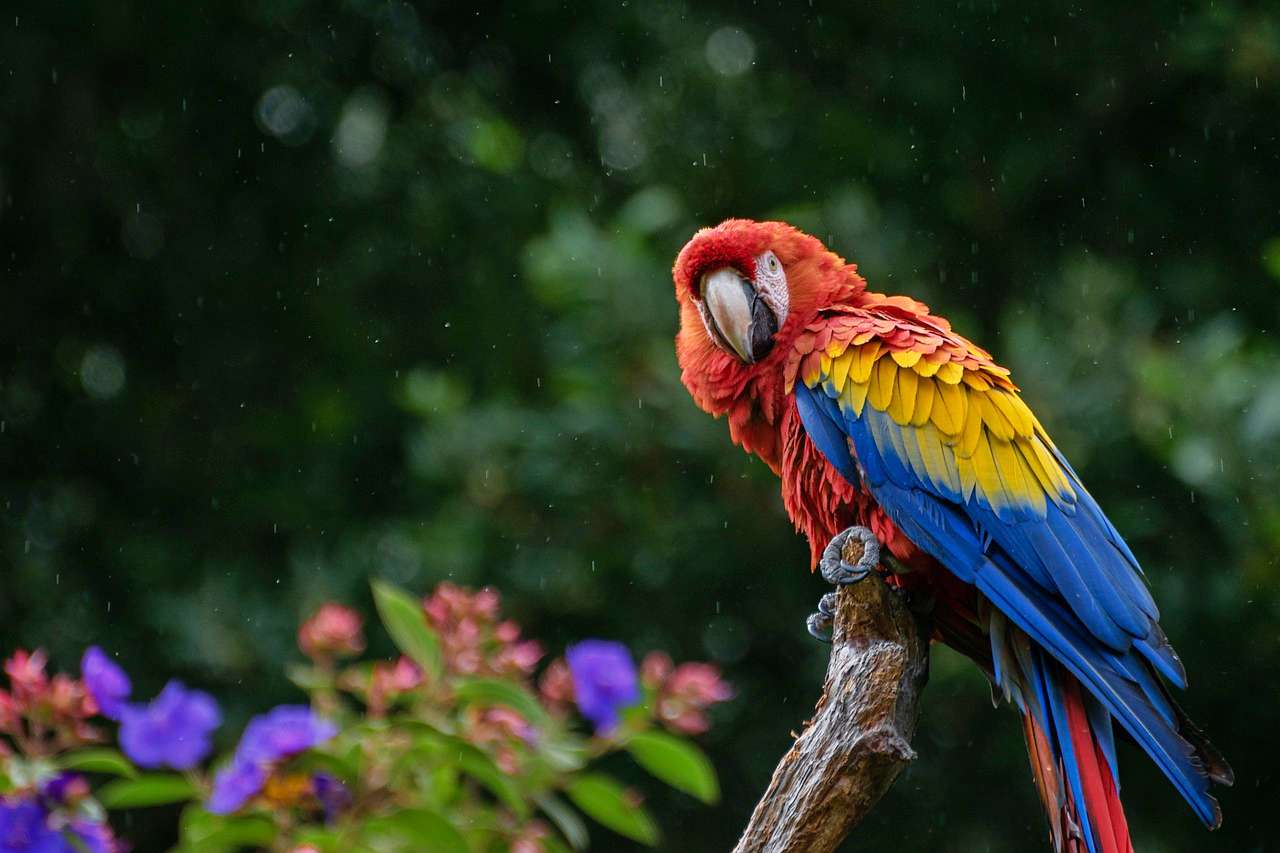 Umgeni River Bird Park