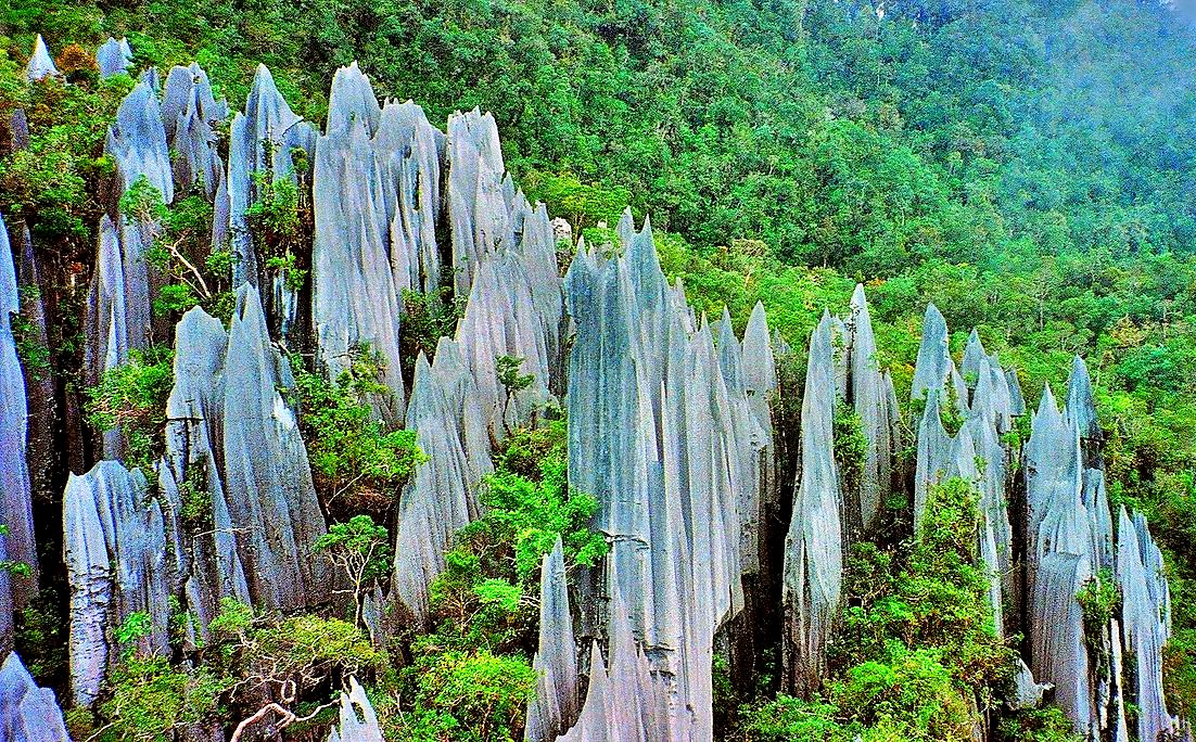 Gunung Mulu National Park, Sarawak