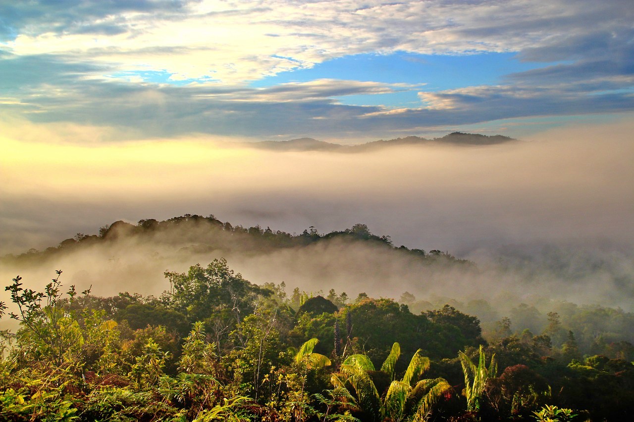 Bako National Park, Sarawak, Malaysia