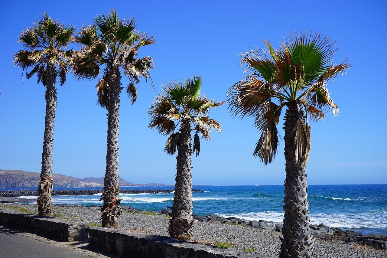 Beaches of Tenerife