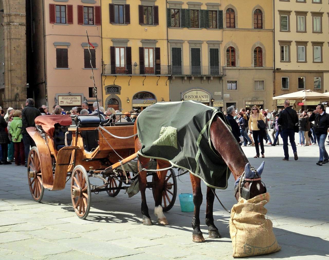 Horse-drawn carriage, Florence, Italy