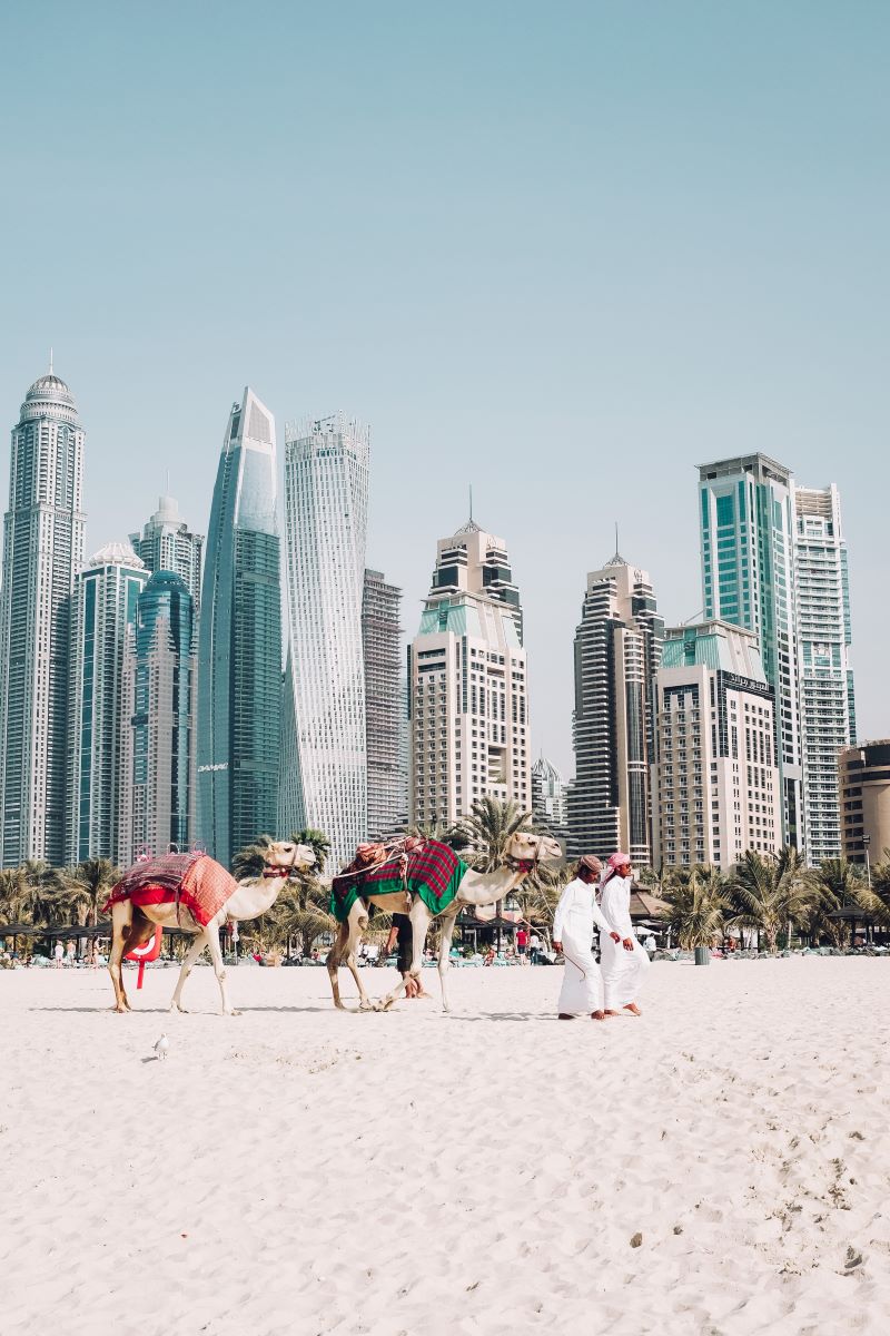 camel ride in the Dubai